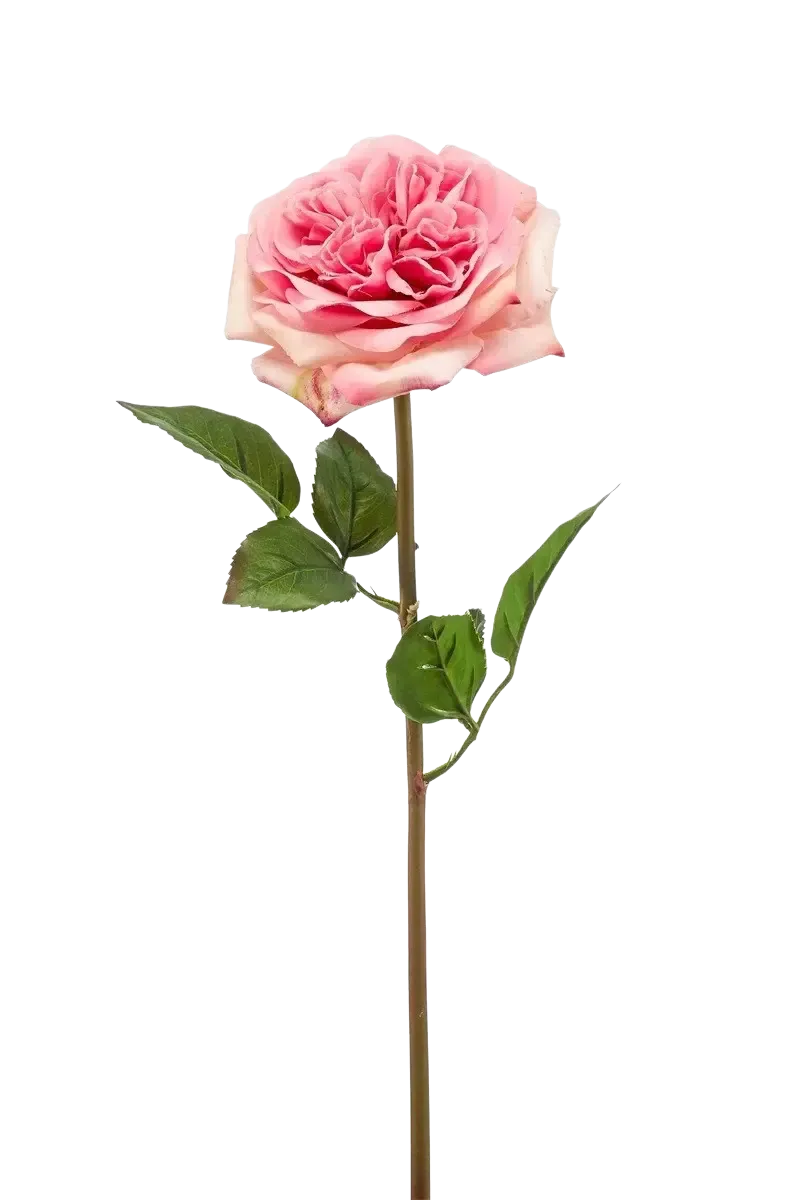 Künstliche Rose - Fleur, 60 cm, Kunstblume von aplanta, Steckpflanze, in Pink, für drinnen