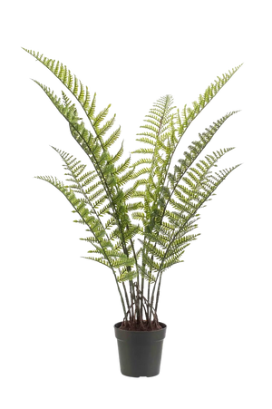 Künstlicher Woodwardia Farn - Golo, 90 cm, Kunstpflanze von aplanta, UV-beständig, in Natur, für draußen