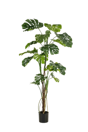 Künstliche Monstera - Mogli, 180 cm, Kunstbaum von aplanta, in Grün, für drinnen