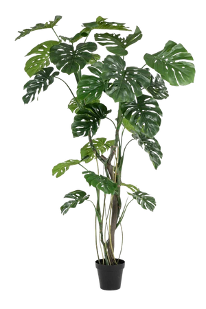 Künstliche Monstera - Mogli, 210 cm, Kunstbaum von aplanta, in Grün, für drinnen