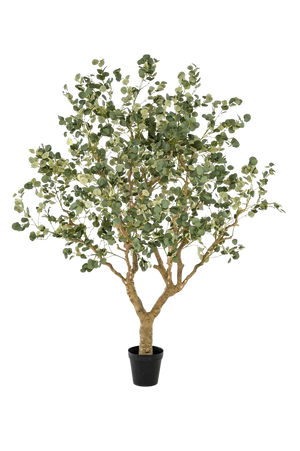 Künstlicher Eucalyptus - Kalli, 240 cm, Kunstbaum von aplanta, in Grün, für drinnen