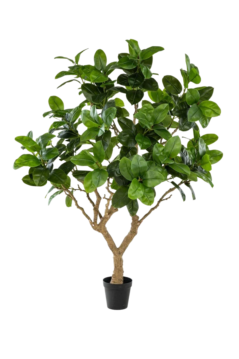 Künstlicher Gummibaum - Temptus, 240 cm, Kunstbaum von aplanta, in Grün, für drinnen
