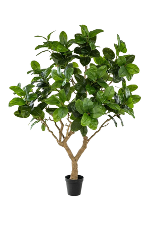 Künstlicher Gummibaum - Temptus, 240 cm, Kunstbaum von aplanta, in Grün, für drinnen