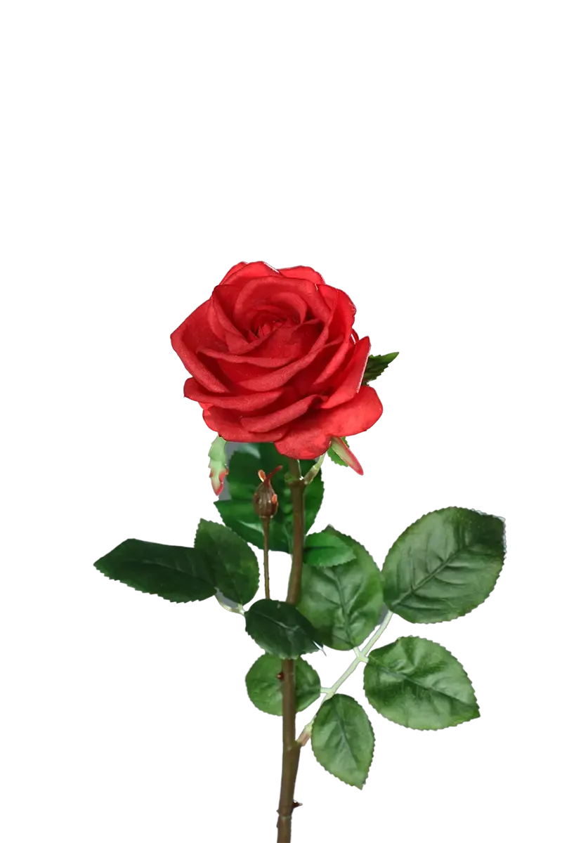 Künstliche Rose - Philipos, 66 cm, Kunstblume von aplanta, Real Touch, in Rot, für drinnen