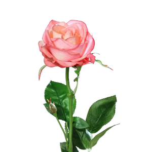 Künstliche Rose - Sokrates, 66 cm, Kunstblume von aplanta, Real Touch, in Pink, für drinnen
