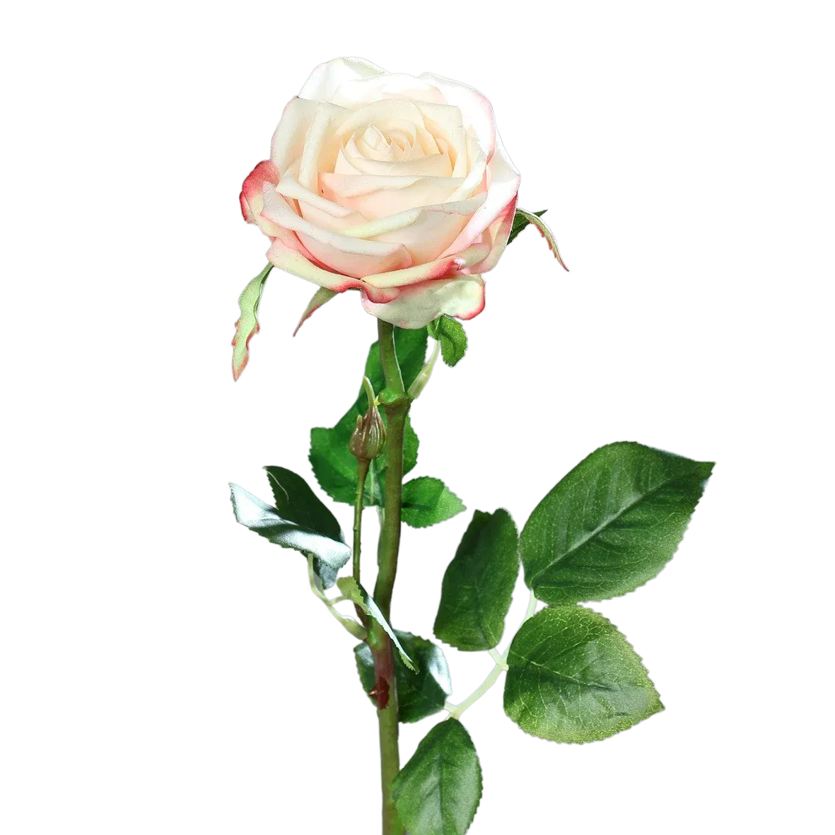 Künstliche Rose - Pam, 66 cm, Kunstblume von aplanta, für drinnen