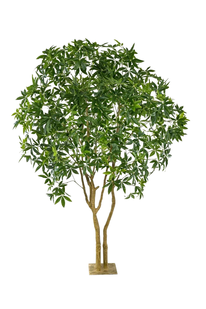 Künstliche Glückskastanie - Mitsu, 285 cm, Kunstbaum von aplanta, in Grün, für drinnen