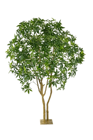Künstliche Glückskastanie - Mitsu, 285 cm, Kunstbaum von aplanta, in Grün, für drinnen