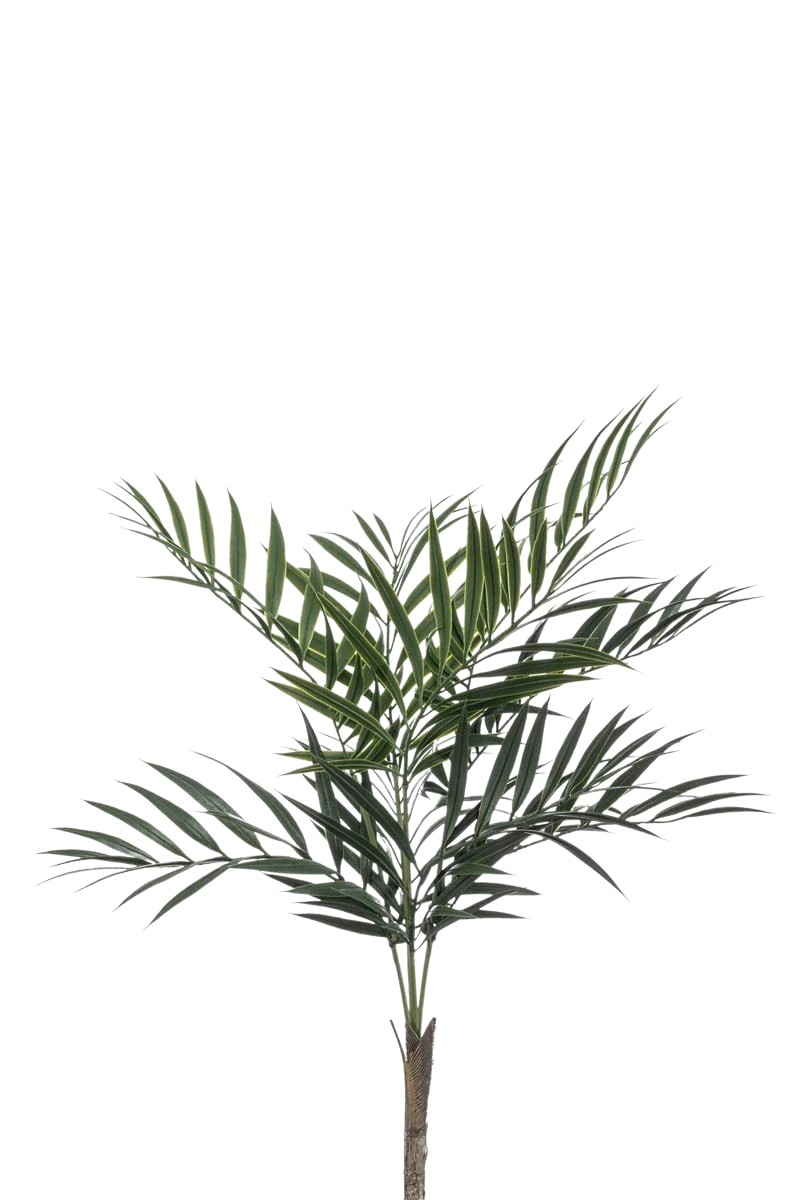 Künstliche Palme - Koa, 60 cm, Kunstbaum von aplanta, UV-beständig, in Grün, für draußen