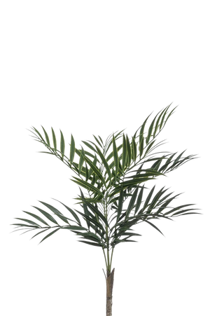 Künstliche Palme - Koa, 60 cm, Kunstbaum von aplanta, UV-beständig, in Grün, für draußen