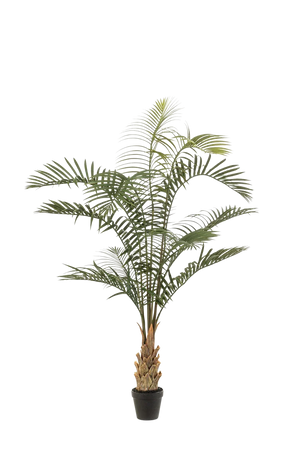 Künstliche Areca Palme - Suri, 120 cm, Kunstbaum von aplanta, UV-beständig, in Grün, für draußen
