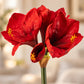 Künstliche Amaryllis – Theodora | 62 cm