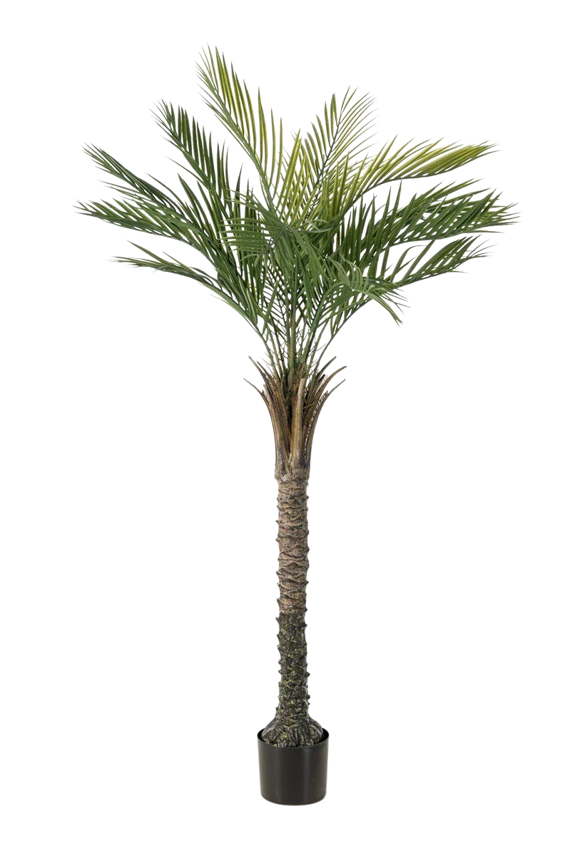 Künstliche Palme - Penny, 150 cm, Kunstbaum von aplanta, UV-beständig, in Grün, für draußen