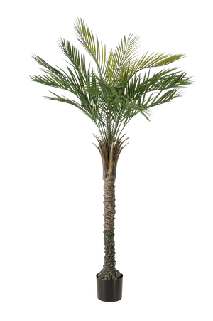 Künstliche Palme - Penny, 150 cm, Kunstbaum von aplanta, UV-beständig, in Grün, für draußen