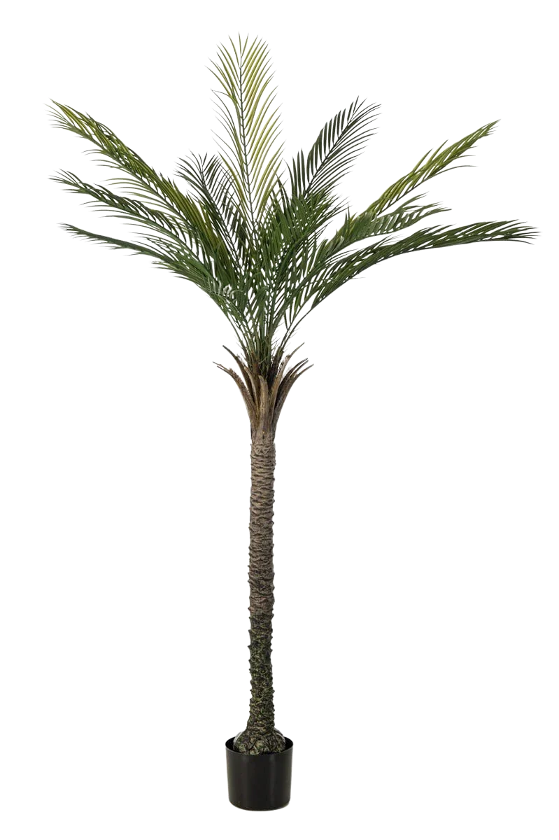 Künstliche Palme - Pitus, 180 cm, Kunstbaum von aplanta, UV-beständig, in Grün, für draußen