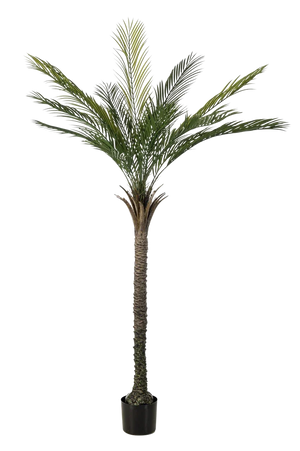 Künstliche Palme - Pitus, 180 cm, Kunstbaum von aplanta, UV-beständig, in Grün, für draußen