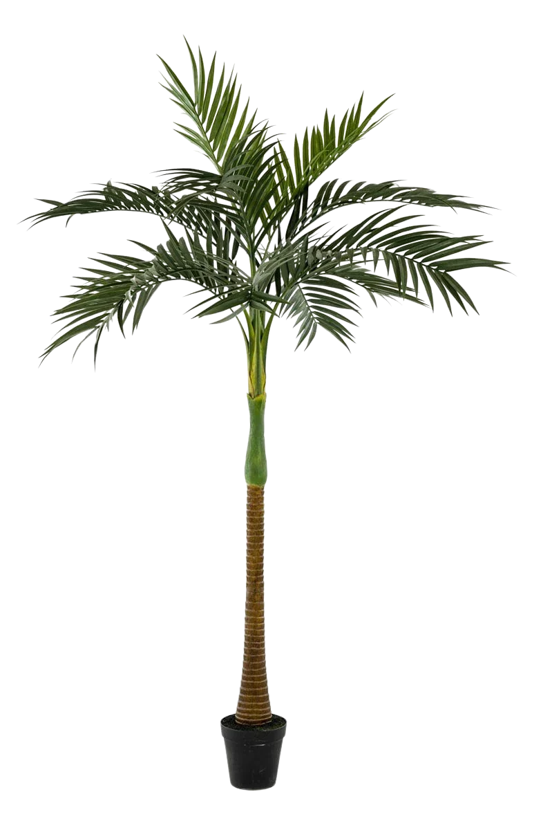 Künstliche Palme - Zasta, 245 cm, Kunstbaum von aplanta, UV-beständig, in Grün, für draußen