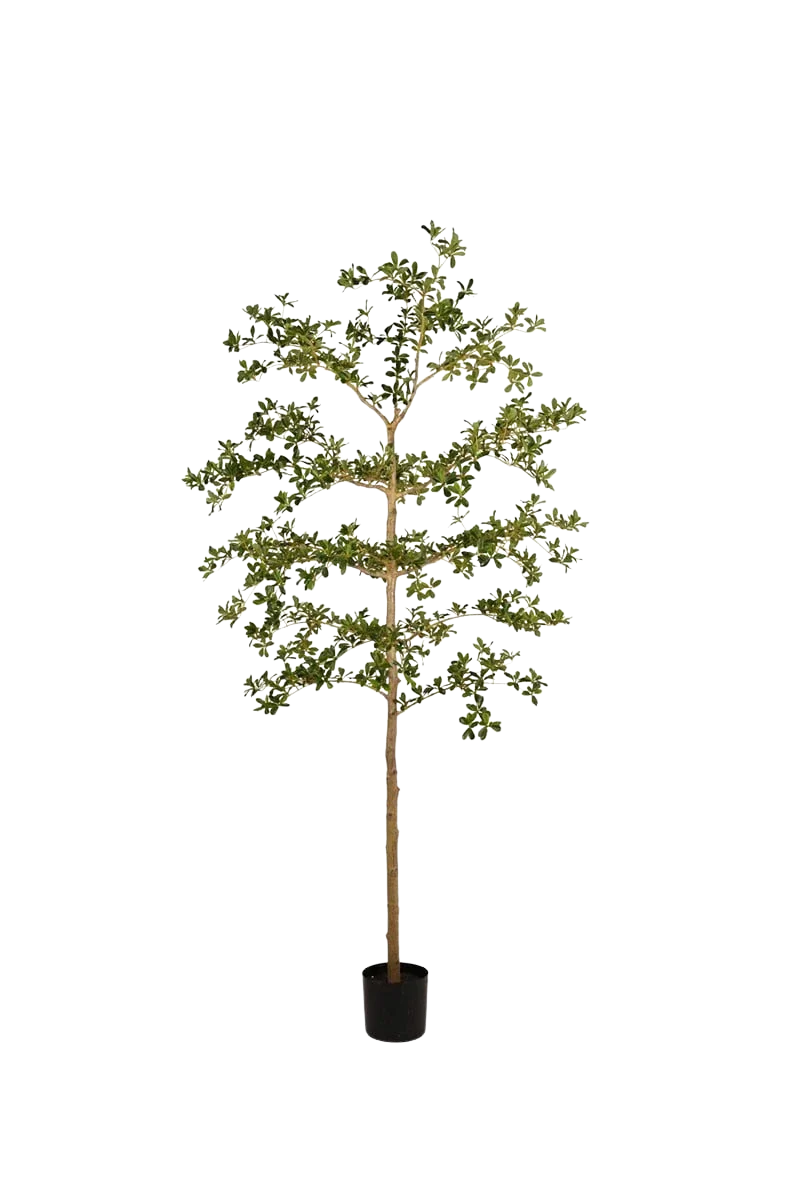 Künstlicher schwarzer Olivenbaum - Finja, 210 cm, Kunstbaum von aplanta, in Grün, für drinnen