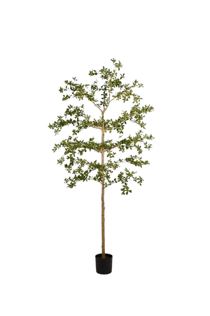 Künstlicher schwarzer Olivenbaum - Finja, 210 cm, Kunstbaum von aplanta, in Grün, für drinnen