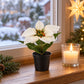 Künstlicher Weihnachtsstern – Natalina | 14 cm Weiß