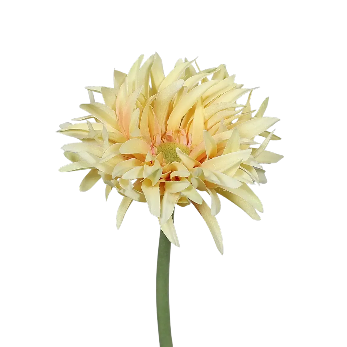 Künstliche Gerbera gefranzt - Adam, 57 cm, Kunstpflanze von aplanta, in Gelb, für drinnen