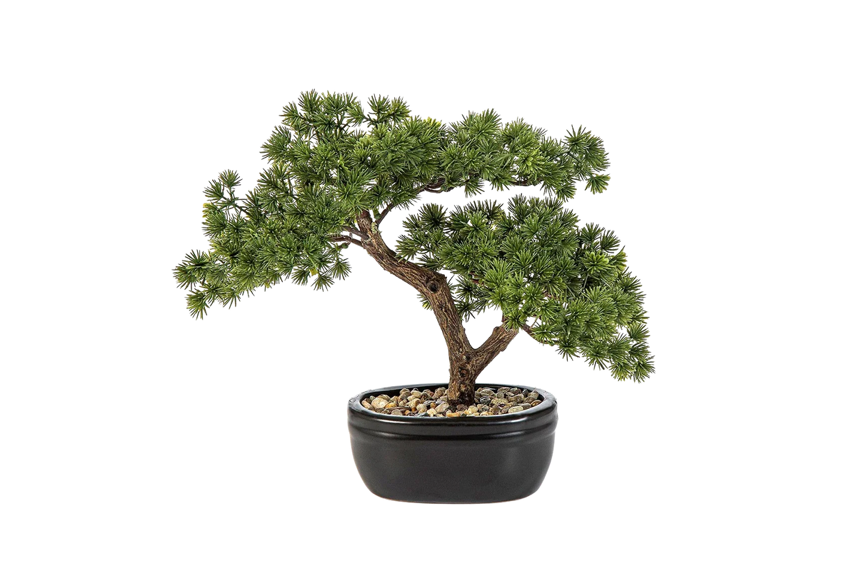 Künstlicher Bonsai - Nina, 26 cm, Kunstbaum von aplanta, in Grün, für drinnen