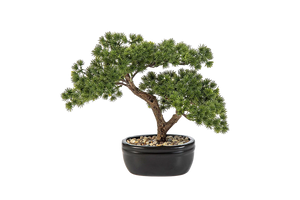 Künstlicher Bonsai - Nina, 26 cm, Kunstbaum von aplanta, in Grün, für drinnen