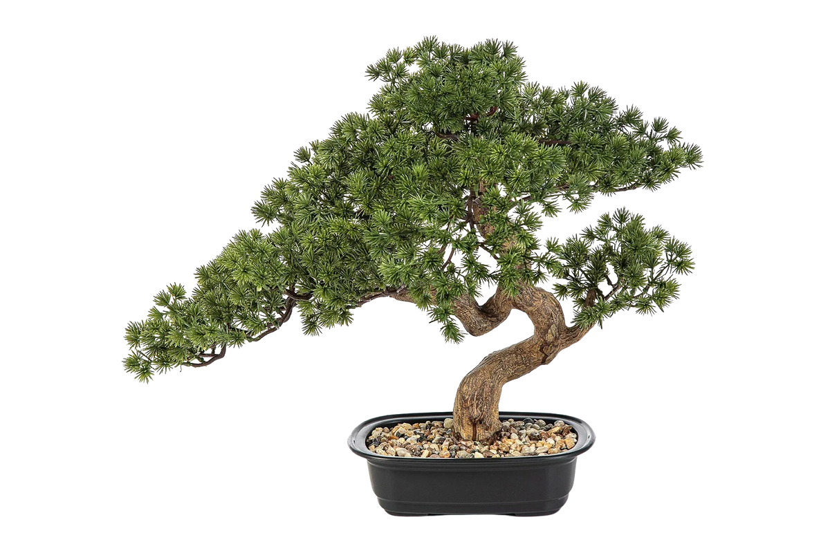 Künstlicher Bonsai - Sofia, 44 cm, Kunstbaum von aplanta, in Grün, für drinnen