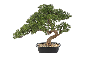 Künstlicher Bonsai - Sofia, 44 cm, Kunstbaum von aplanta, in Grün, für drinnen
