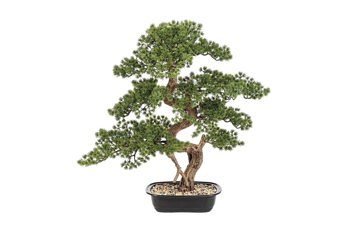 Künstlicher Bonsai - Rupert, 68 cm, Kunstbaum von aplanta, in Grün, für drinnen