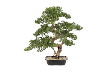 Künstlicher Bonsai - Rupert, 68 cm, Kunstbaum von aplanta, in Grün, für drinnen