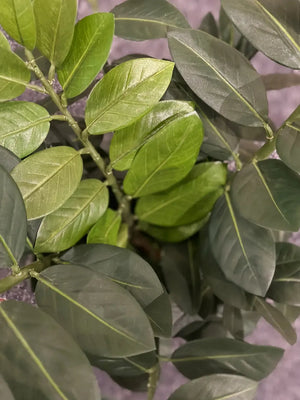 Künstliche Zamioculcas - Svea, 66 cm, Kunstpflanze von aplanta, im schwarzen Topf, in Natur, für drinnen