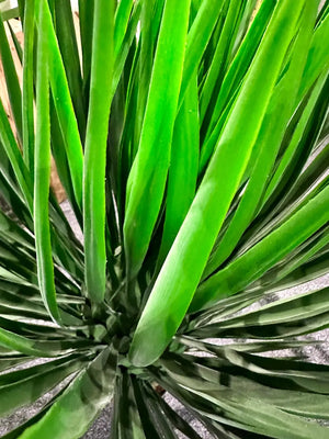 Künstliche Yucca Rostrata Palme - Sven, 82 cm, Kunstbaum von aplanta, in Natur, für drinnen