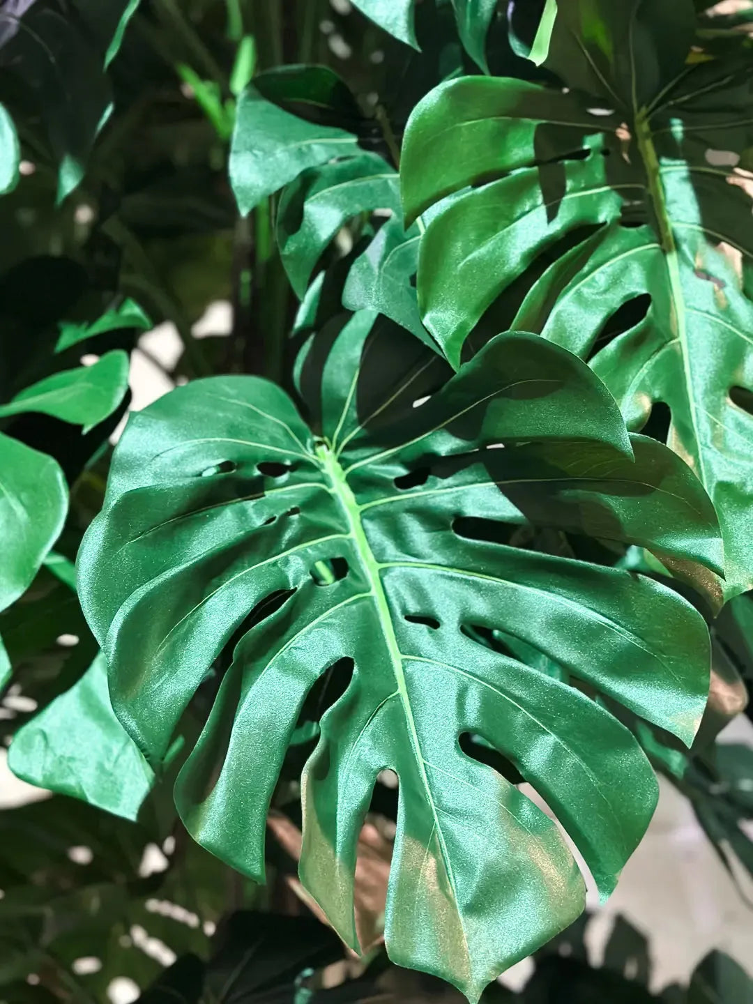 Künstliche Monstera - Chris, 280 cm, Kunstbaum von aplanta, mit Echtholzstamm, im schwarzen Topf, in Natur, für drinnen