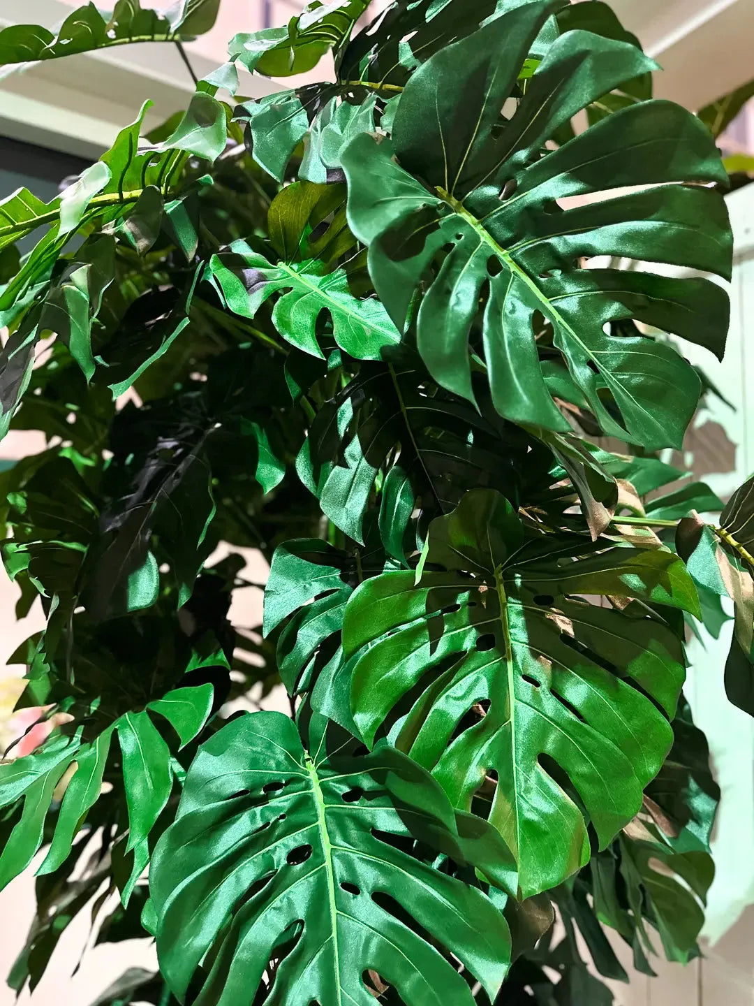 Künstliche Monstera - Chris, 280 cm, Kunstbaum von aplanta, mit Echtholzstamm, im schwarzen Topf, in Natur, für drinnen