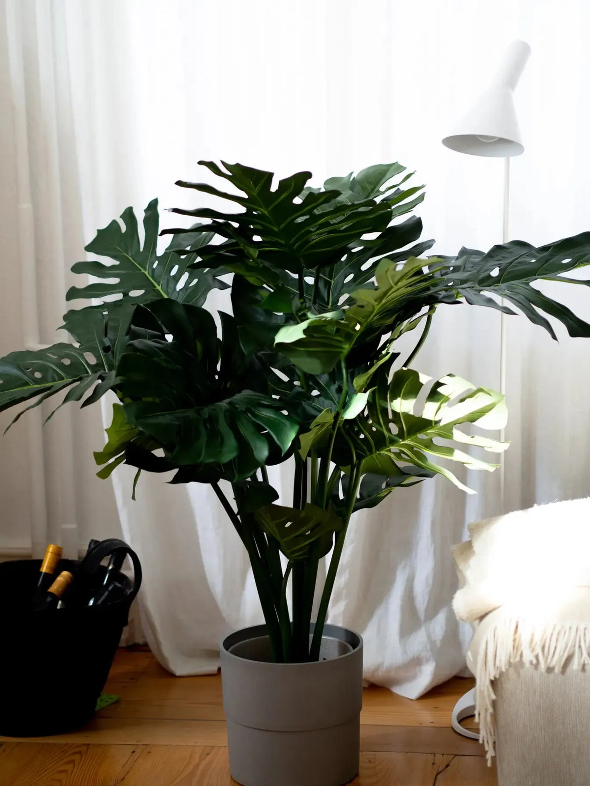 Künstliche Monstera - Thilo, 98 cm, Kunstpflanze von aplanta, in Natur, für drinnen