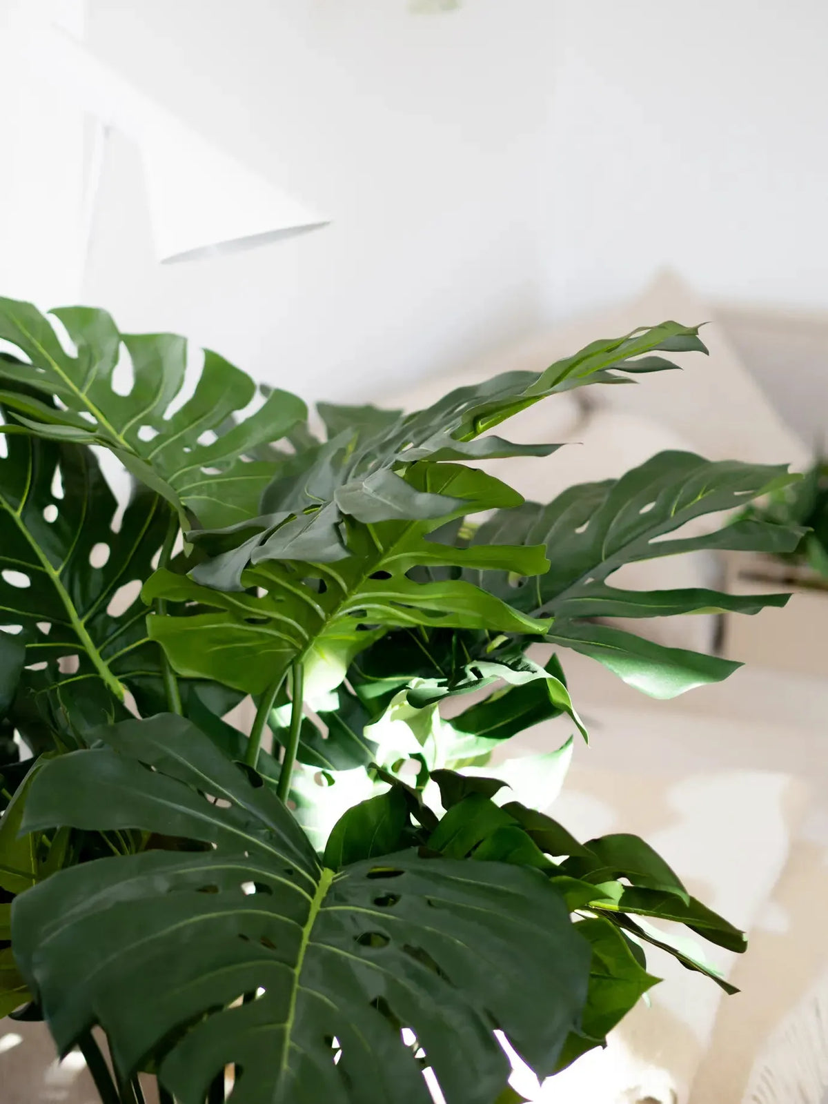 Künstliche Monstera - Thilo, 98 cm, Kunstpflanze von aplanta, in Natur, für drinnen