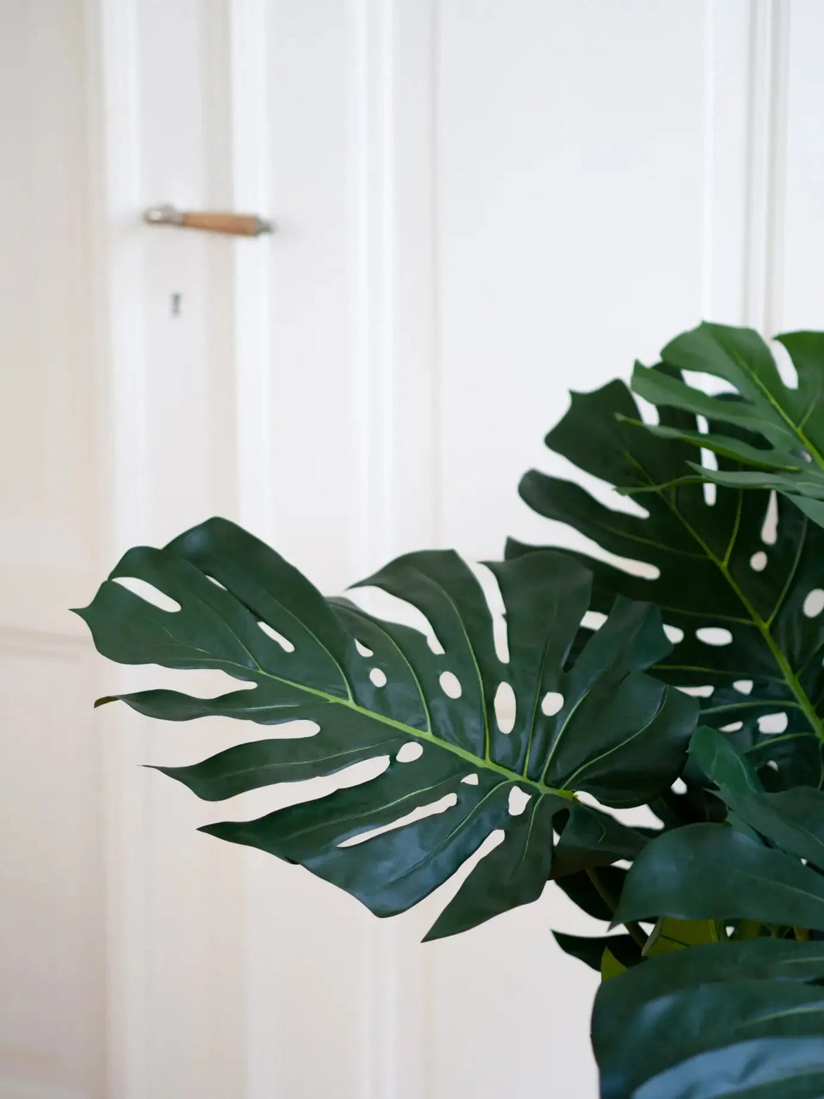 Künstliche Monstera - Thilo, 98 cm, Kunstpflanze von aplanta, in Natur, für drinnen