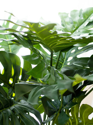 Künstliche Monstera - Thilo, 98 cm, Kunstpflanze von aplanta, in Natur, für drinnen