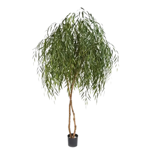 Künstliche Weide - Pepe, 240 cm, Kunstbaum von aplanta, mit Echtholzstamm, in Grün, für drinnen