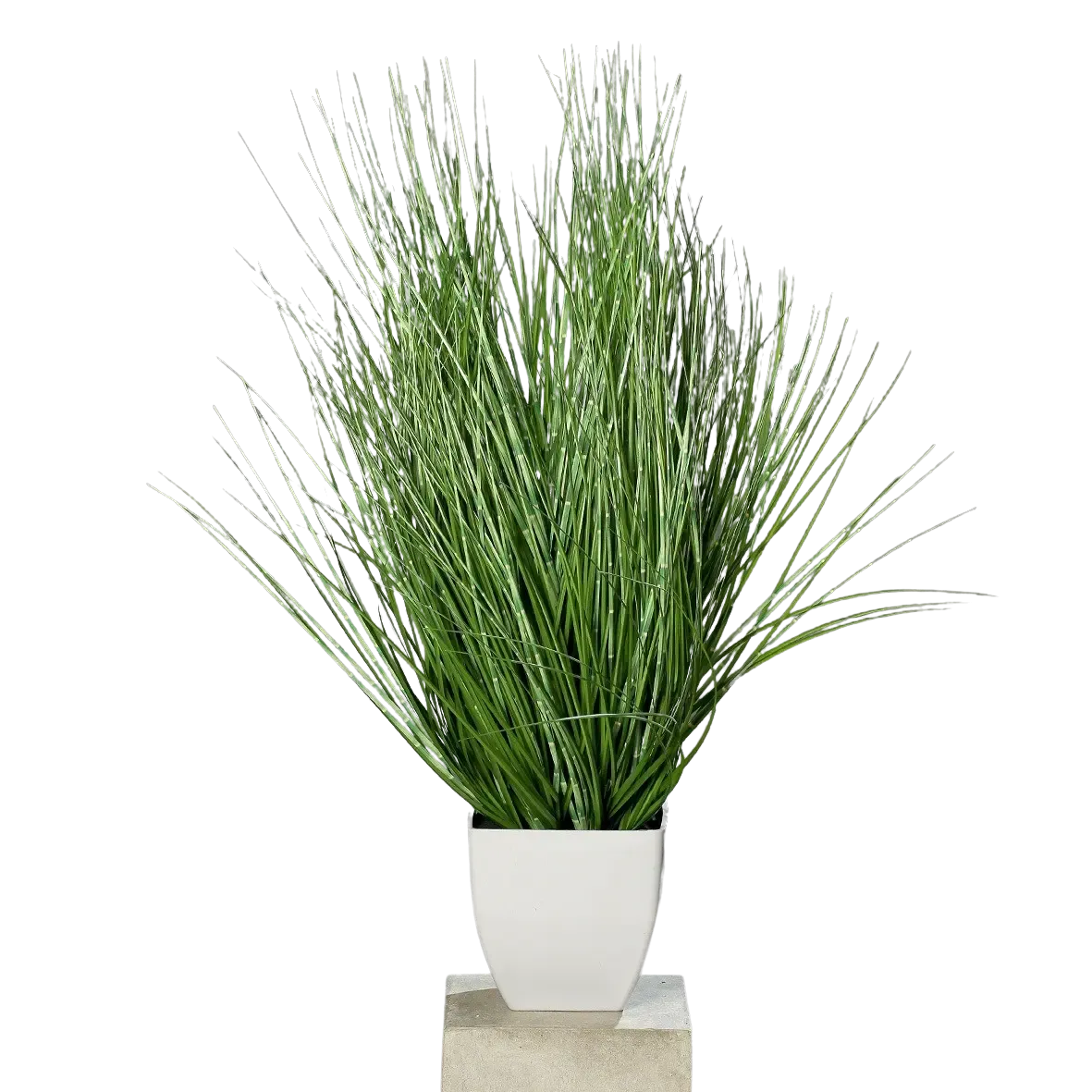 Künstliches California-Beach-Gras - Arian, 78 cm, Kunstpflanze von aplanta, in Natur, für drinnen
