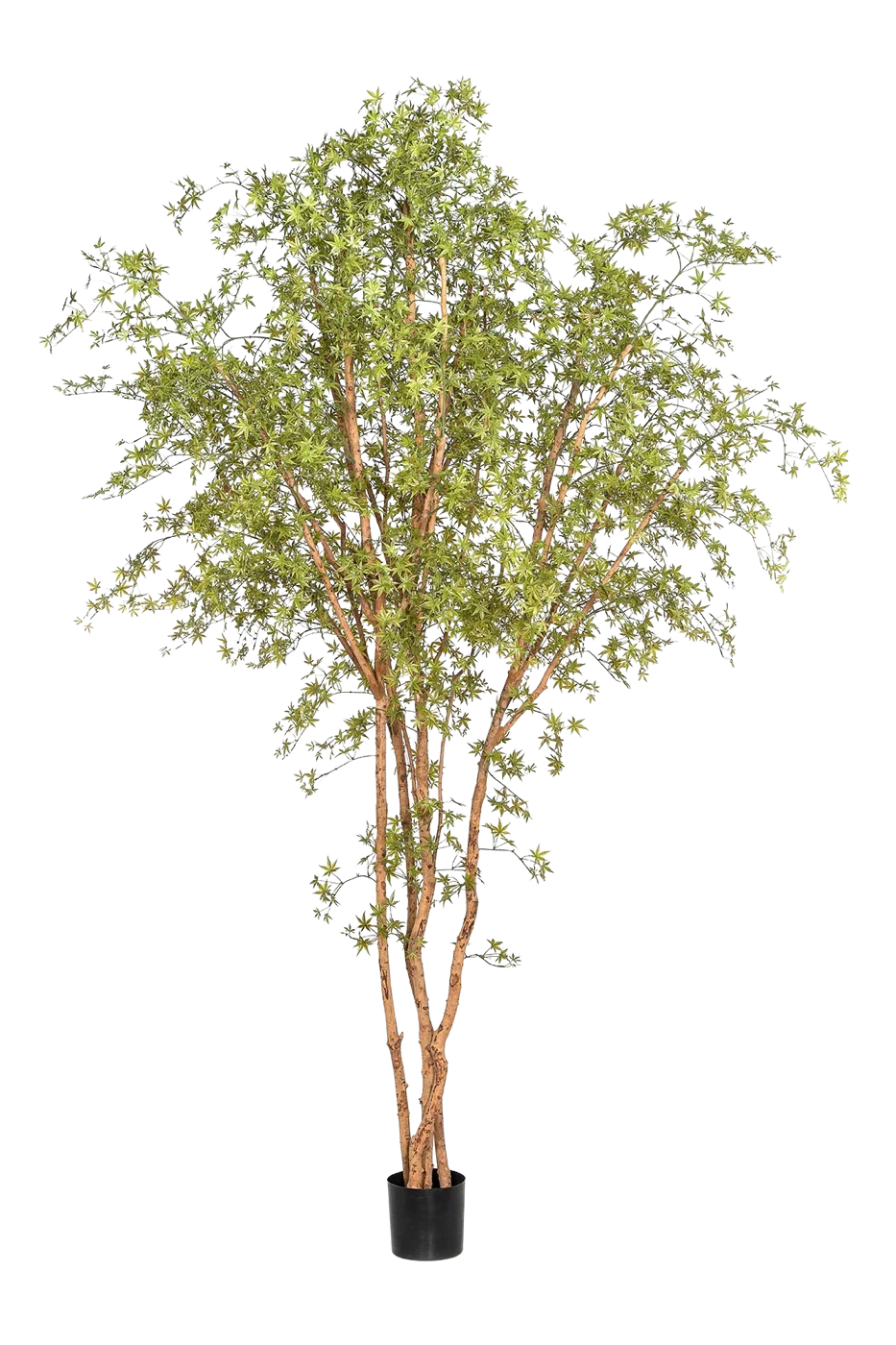 Künstlicher Ahornbaum - Pagur, 330 cm, Kunstbaum von aplanta, mit Echtholzstamm, in Grün, für drinnen