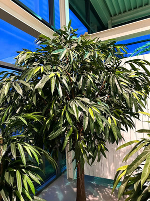Künstlicher langblättriger Ficus - Johannes, 270 cm, Kunstbaum von aplanta, mit Echtholzstamm, im schwarzen Topf, in Natur