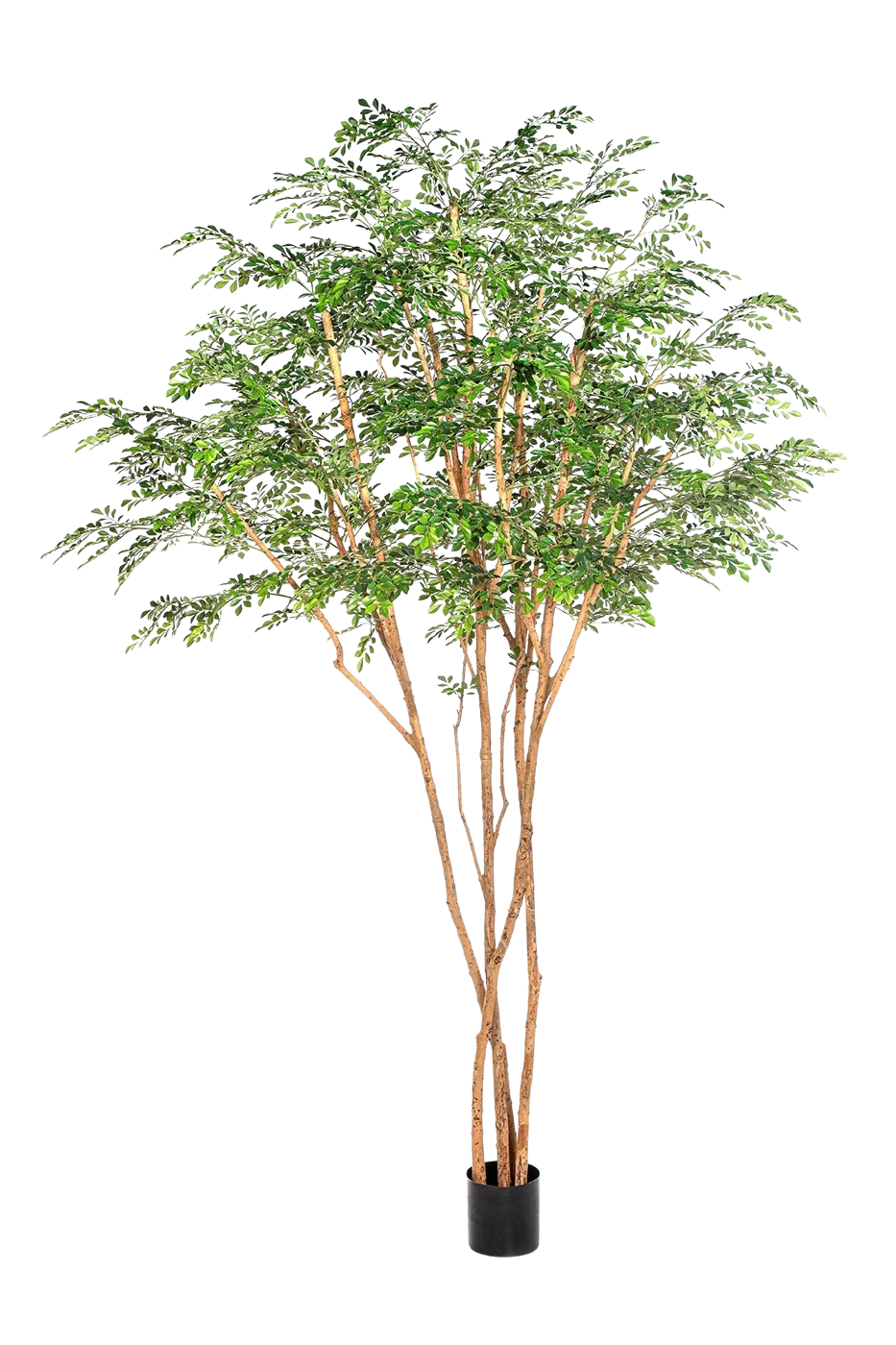 Künstlicher Curybaum - Sagur, 320 cm, Kunstbaum von aplanta, mit Echtholzstamm, in Grün, für drinnen