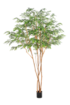Künstlicher Curybaum - Sagur, 320 cm, Kunstbaum von aplanta, mit Echtholzstamm, in Grün, für drinnen