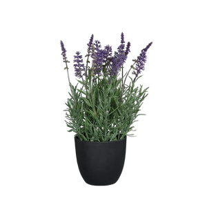 Künstlicher Lavendel - Ibo, 31 cm, Kunstblume von aplanta, in Lavender, für drinnen