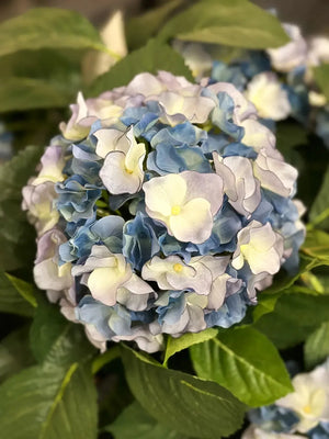 Künstliche Hortensie - Naomi, 53 cm, Kunstpflanze von aplanta, in Blau, für drinnen
