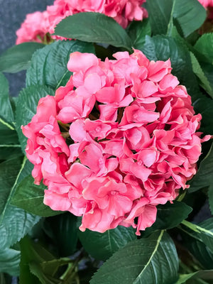 Künstliche Hortensie - Nils, 53 cm, Kunstpflanze von aplanta, in Pink, für drinnen