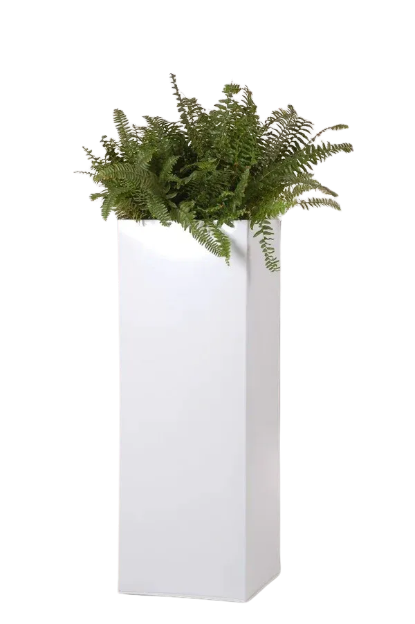 Pflanzkübel - Enisa, 29x29x80cm, von aplanta, in Weiß