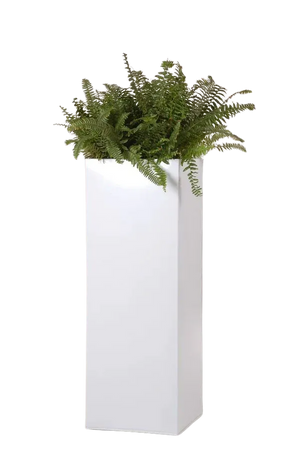 Pflanzkübel - Enisa, 29x29x80cm, von aplanta, in Weiß